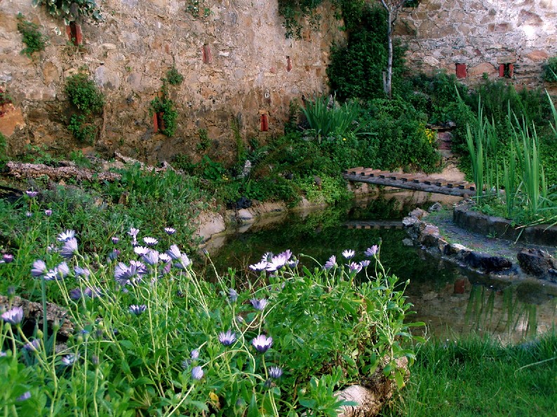 Il Laghetto del Centro di Entomologia - Piombino (LI)